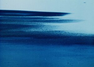 Read more about the article Il Pianeta Azzurro/The Blue Planet